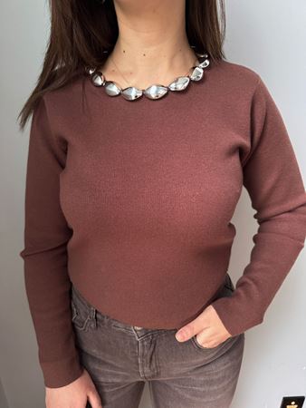 Kahverengi Yakası Aksesuar Detaylı Triko Bluz